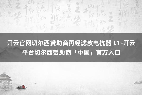 开云官网切尔西赞助商再经滤波电抗器 L1-开云平台切尔西赞助商「中国」官方入口