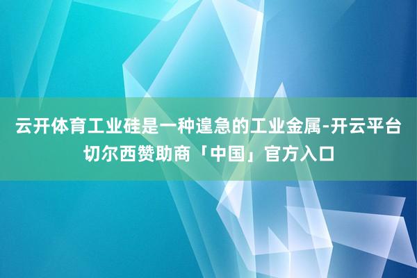 云开体育工业硅是一种遑急的工业金属-开云平台切尔西赞助商「中国」官方入口