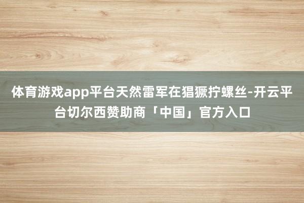 体育游戏app平台天然雷军在猖獗拧螺丝-开云平台切尔西赞助商「中国」官方入口