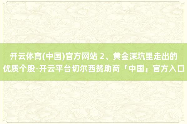 开云体育(中国)官方网站 2、黄金深坑里走出的优质个股-开云平台切尔西赞助商「中国」官方入口